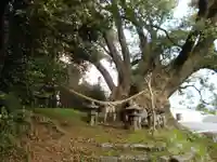 打越天満宮の自然