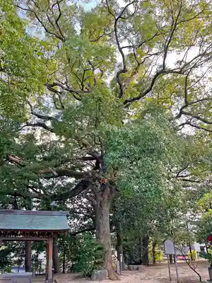 菊池神社(福岡県)