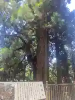 秋葉山本宮 秋葉神社 上社(静岡県)