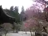 妙本寺の庭園