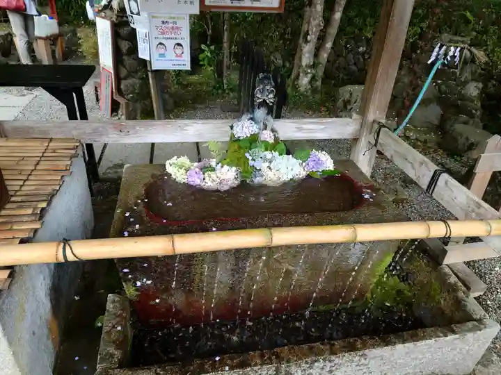 出雲大神宮の手水舎