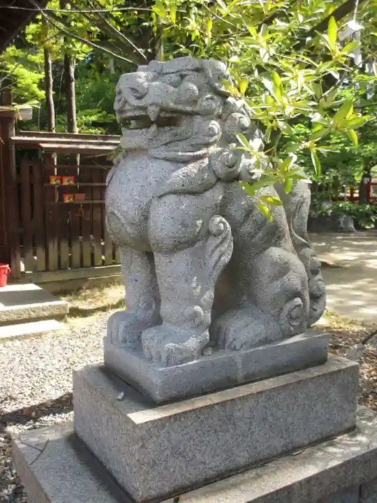 新熊野神社の狛犬