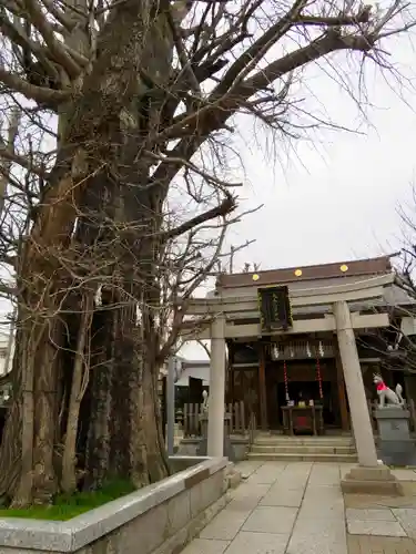 飛木稲荷神社の自然