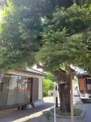 雷神社(東京都)