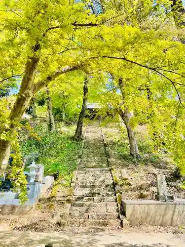 正蓮寺の{uncategorized: "未分類", other: "その他", undefined: "問題あり", building: "その他建物", grave: "お墓", sacred_gate: "鳥居", guardian: "狛犬", statue: "像", buddha: "仏像", history: "歴史", nature: "自然", garden: "庭園", animal: "動物", pagoda: "塔", temizu: "手水舎", mountain_gate: "山門・神門", sanctuary: "本殿・本堂", subordinate: "末社・摂社", art: "芸術", scenery: "景色", jizo: "地蔵", ema: "絵馬", goshuin: "御朱印", omikuji: "おみくじ", items: "授与品その他", amulet: "お守り", goshuincho: "御朱印帳", eats: "食事", festival: "お祭り", votive_dance: "神楽", shichigosan: "七五三参", wedding: "結婚式", experience: "体験その他", initially: "初詣", around: "周辺", anti_infection: "感染症対策"}