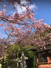 菅原神社(鹿児島県)