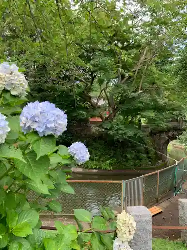 境香取神社の自然