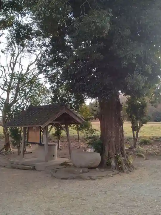 八雲神社(宮城県)