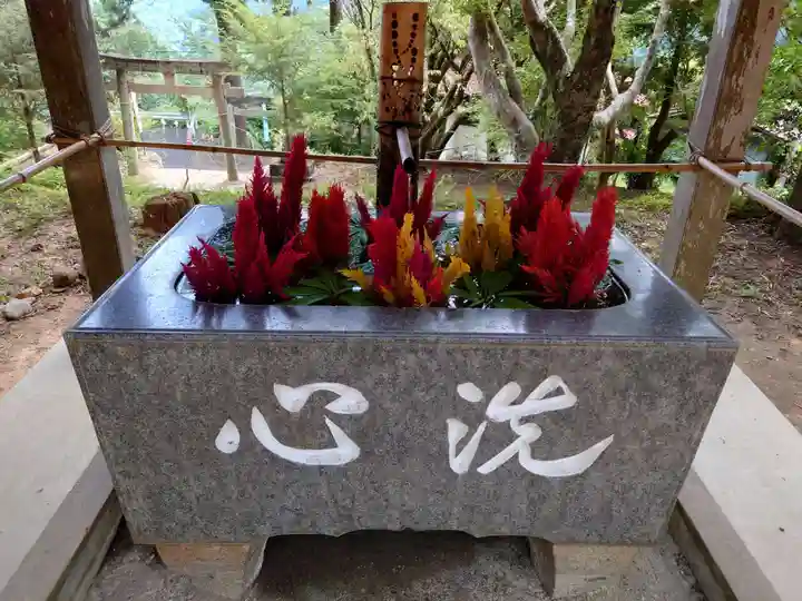 坂本八幡神社(徳島県)