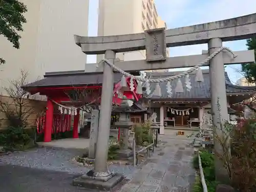 白山比咩神社の鳥居