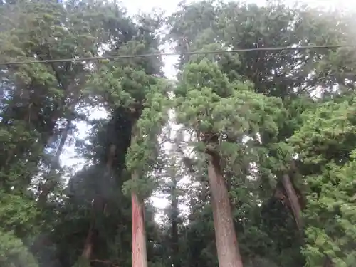 室生龍穴神社(奈良県)