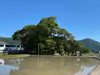 天疫神社の周辺
