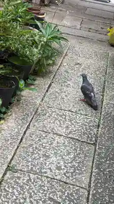 教行院(京都府)