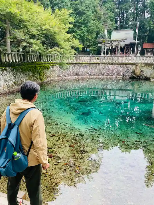 嚴島神社(山口県)