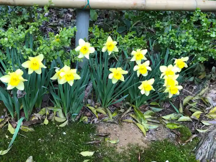 豊栄稲荷神社の自然