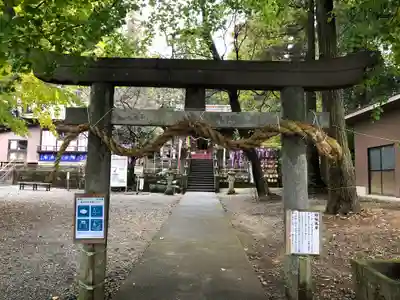 下野 星宮神社の鳥居