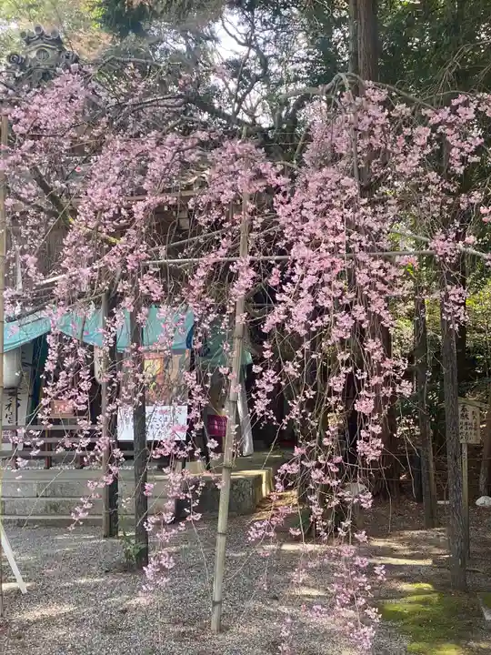 建部大社の自然