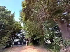 都留伎神社(奈良県)