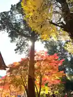 談山神社の自然