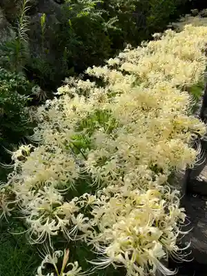 横浜　西方寺(神奈川県)