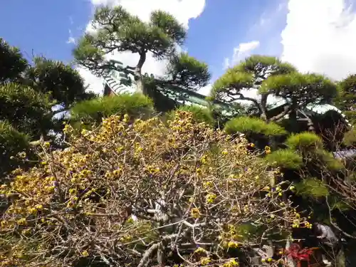 大巧寺の景色