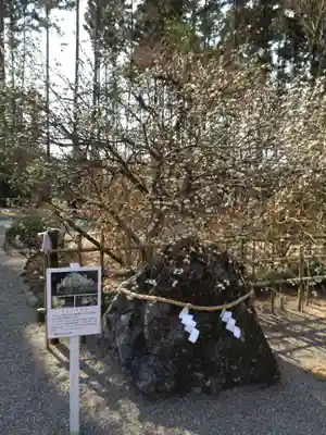 芳賀天満宮(栃木県)