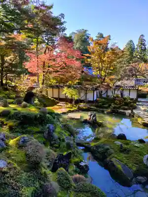 西明寺の庭園