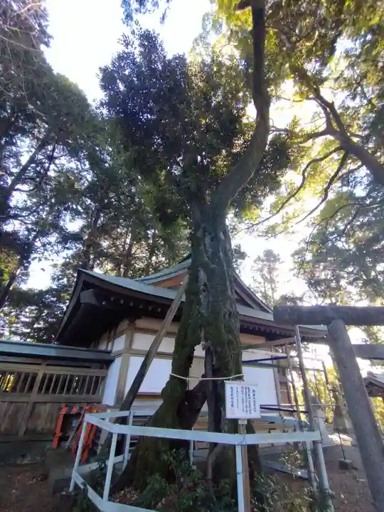 八坂神社(静岡県)