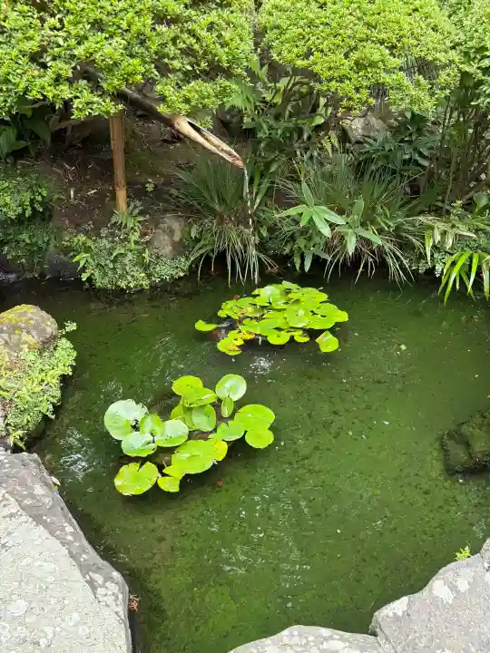 報国寺の{uncategorized: "未分類", other: "その他", undefined: "問題あり", building: "その他建物", grave: "お墓", sacred_gate: "鳥居", guardian: "狛犬", statue: "像", buddha: "仏像", history: "歴史", nature: "自然", garden: "庭園", animal: "動物", pagoda: "塔", temizu: "手水舎", mountain_gate: "山門・神門", sanctuary: "本殿・本堂", subordinate: "末社・摂社", art: "芸術", scenery: "景色", jizo: "地蔵", ema: "絵馬", goshuin: "御朱印", omikuji: "おみくじ", items: "授与品その他", amulet: "お守り", goshuincho: "御朱印帳", eats: "食事", festival: "お祭り", votive_dance: "神楽", shichigosan: "七五三参", wedding: "結婚式", experience: "体験その他", initially: "初詣", around: "周辺", anti_infection: "感染症対策"}