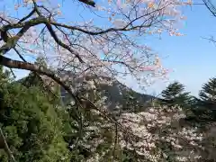 武蔵御嶽神社の自然