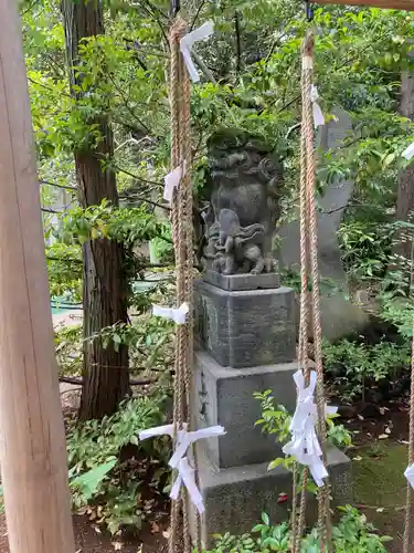 赤坂氷川神社の狛犬