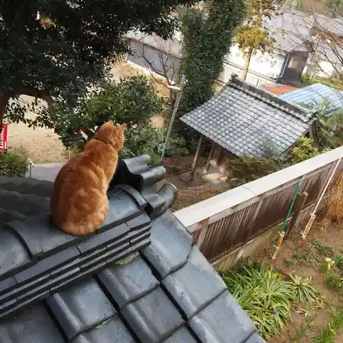 天王山 安楽寺(福井県)