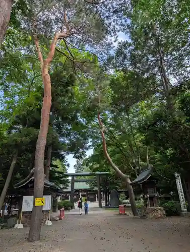 琴似神社(北海道)