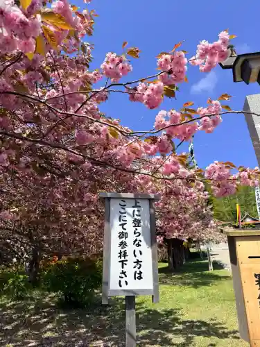 石崎地主海神社(北海道)