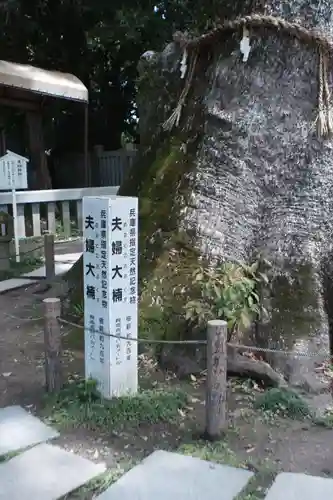 伊弉諾神宮(兵庫県)