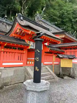 熊野那智大社(和歌山県)