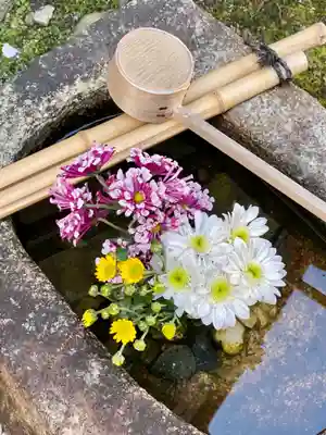 善長寺(京都府)