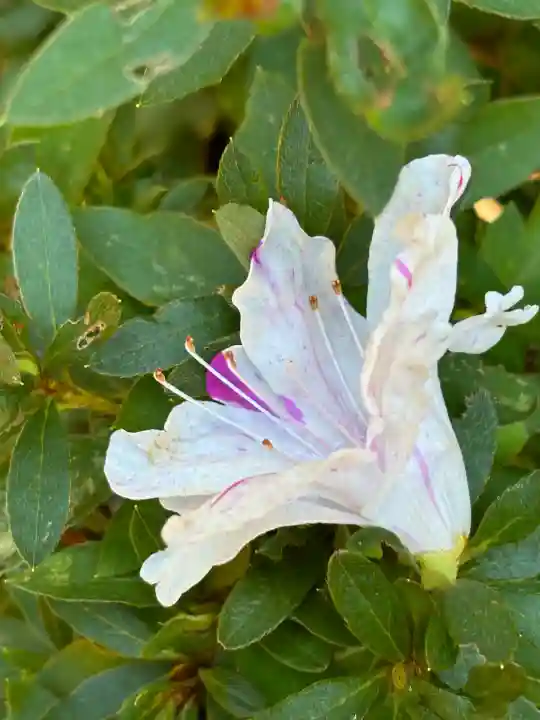 火雷神社(福島県)