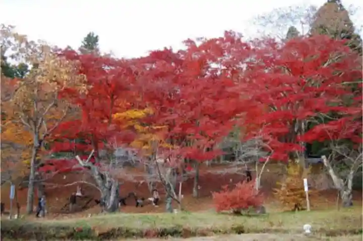 土津神社|こどもと出世の神さまの景色