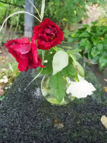 円通院(宮城県)