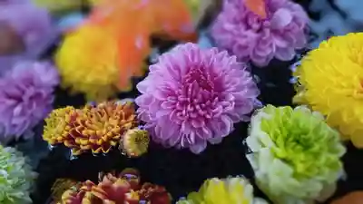 阿邪訶根神社(福島県)
