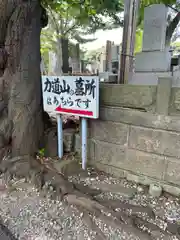 池上本門寺(東京都)