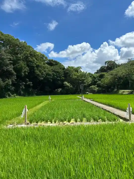 氷上姉子神社(熱田神宮摂社)(愛知県)