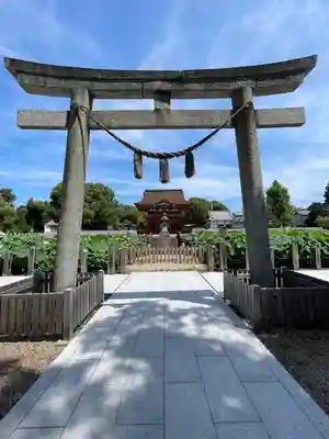 伊賀八幡宮(愛知県)