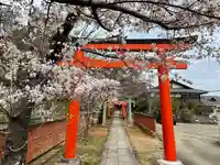 竹中稲荷神社(吉田神社末社)の鳥居