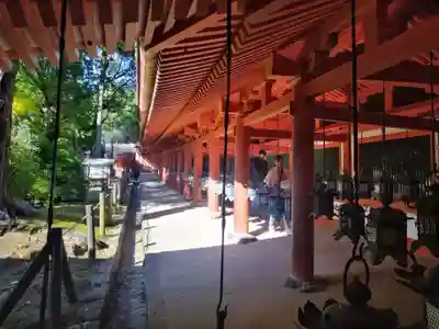 春日大社(奈良県)