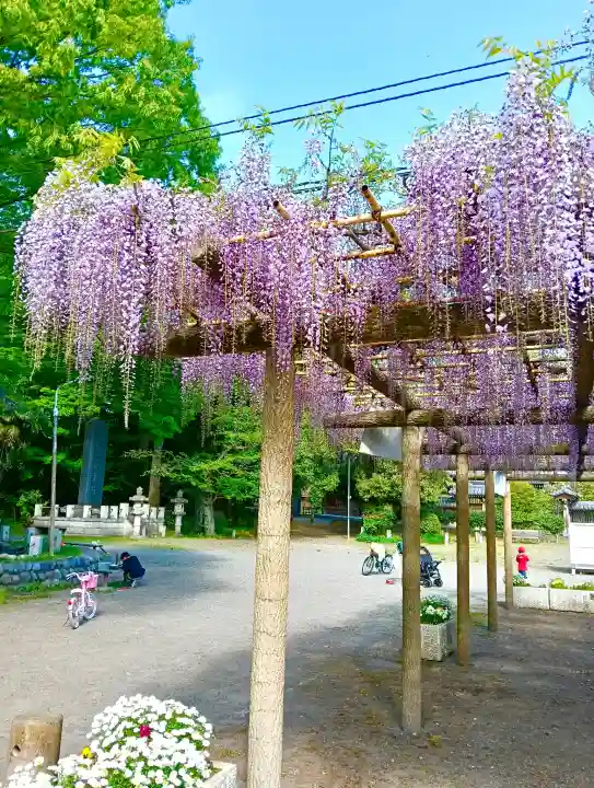 日吉神社の{uncategorized: "未分類", other: "その他", undefined: "問題あり", building: "その他建物", grave: "お墓", sacred_gate: "鳥居", guardian: "狛犬", statue: "像", buddha: "仏像", history: "歴史", nature: "自然", garden: "庭園", animal: "動物", pagoda: "塔", temizu: "手水舎", mountain_gate: "山門・神門", sanctuary: "本殿・本堂", subordinate: "末社・摂社", art: "芸術", scenery: "景色", jizo: "地蔵", ema: "絵馬", goshuin: "御朱印", omikuji: "おみくじ", items: "授与品その他", amulet: "お守り", goshuincho: "御朱印帳", eats: "食事", festival: "お祭り", votive_dance: "神楽", shichigosan: "七五三参", wedding: "結婚式", experience: "体験その他", initially: "初詣", around: "周辺", anti_infection: "感染症対策"}