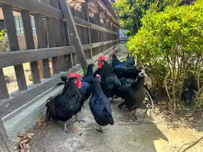 玉祖神社(山口県)