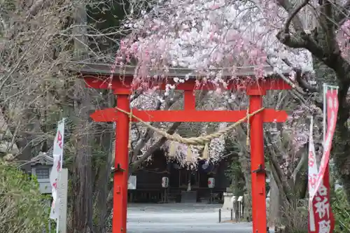 三島八幡神社の鳥居