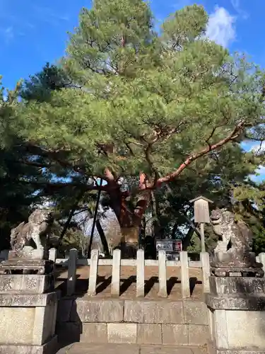北野天満宮(京都府)